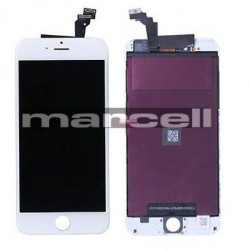Zdjecie
